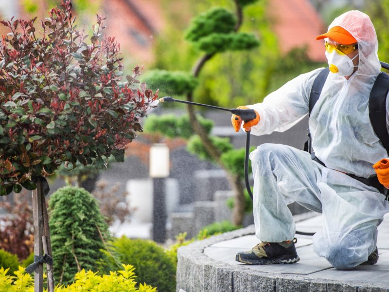 İşçievleri Haşere İlaçlama